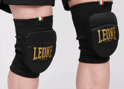 GINOCCHIERE LEONE DNA